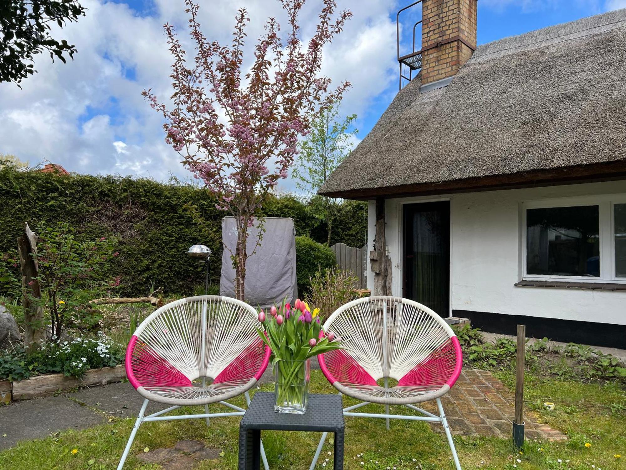 Tiny House Ostsee # Naturwerk Pruchten Exterior foto